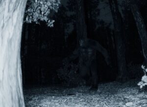 Small Town Monsters – Bigfoot: Land of the Missing 8/22! – The Horror Times